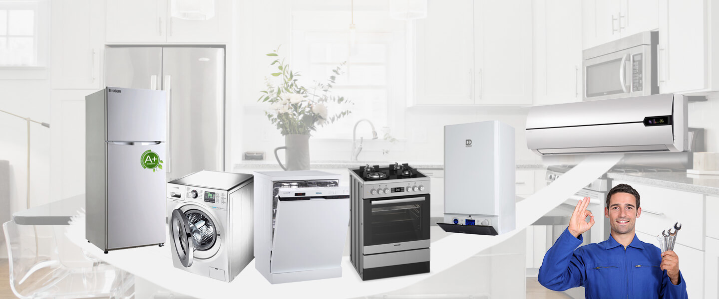 Kırkağaç Electrolux Servisi